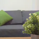 公寓 Centrico Apartamento Con Balcon Cerca De La Playa *